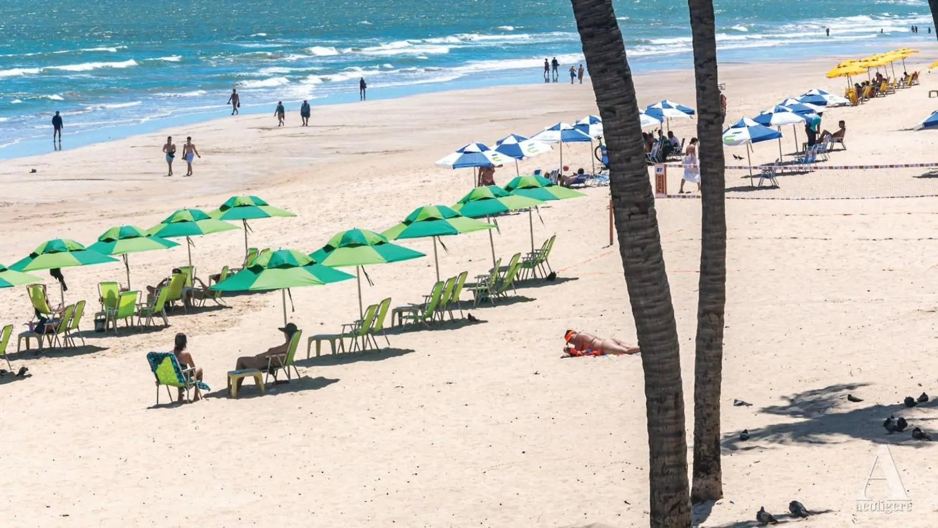 Confortavel 3 Quartos Rua Navegantes Em Boa Viagem Sal103A Recife Brasil